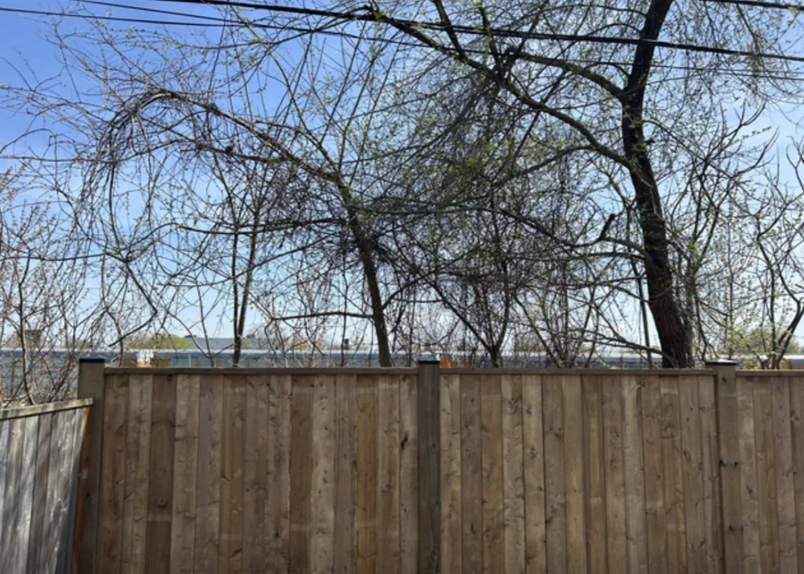 Fence Re-Build finished privacy fence with capped posts