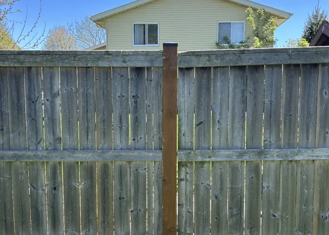 And More ;) refreshed fence section with new stained support post